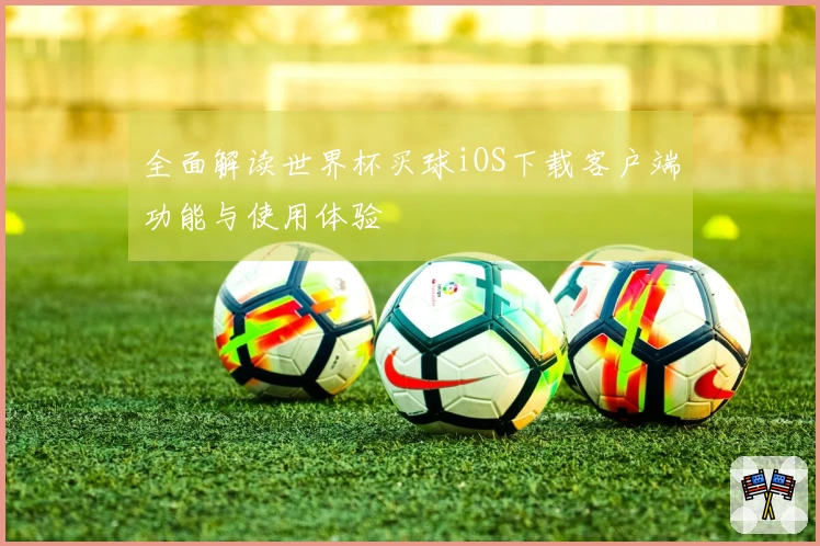 全面解读世界杯买球iOS下载客户端功能与使用体验