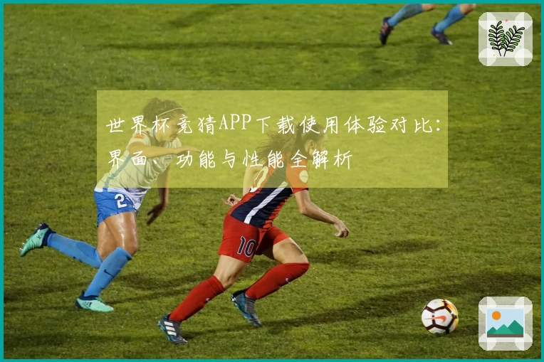 世界杯竞猜APP下载使用体验对比：界面、功能与性能全解析