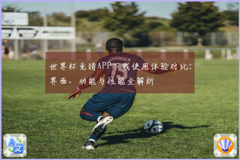 世界杯竞猜APP下载使用体验对比：界面、功能与性能全解析