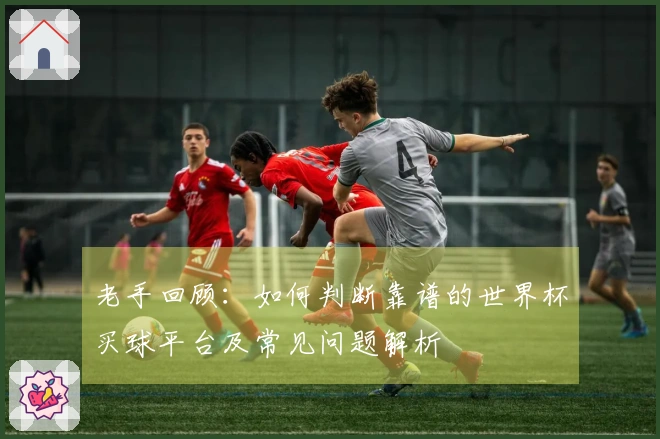 老手回顾：如何判断靠谱的世界杯买球平台及常见问题解析