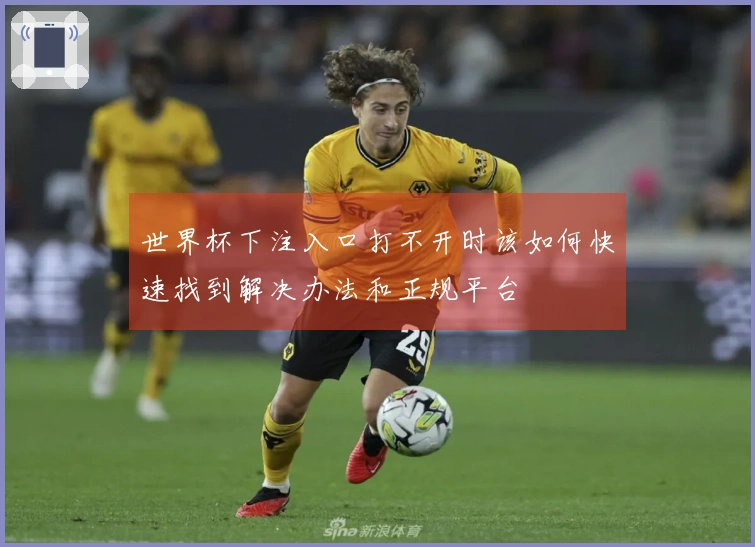 世界杯下注入口打不开时该如何快速找到解决办法和正规平台