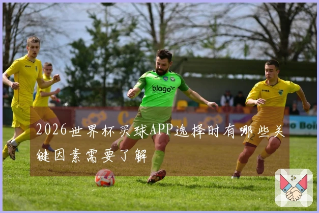 2026世界杯买球APP选择时有哪些关键因素需要了解