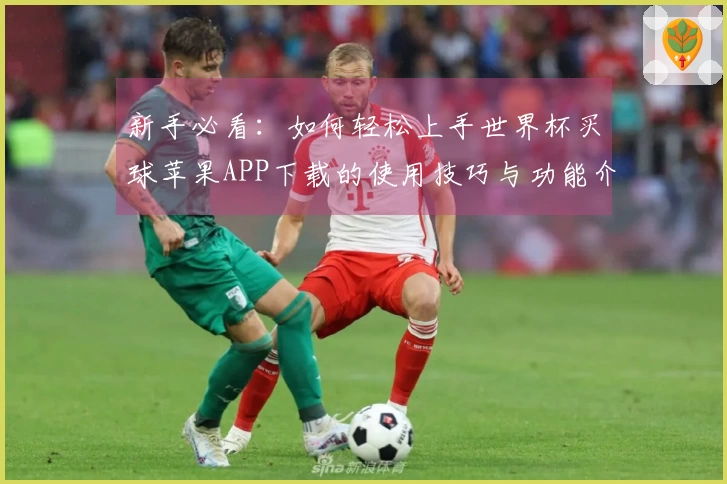 新手必看：如何轻松上手世界杯买球苹果APP下载的使用技巧与功能介绍