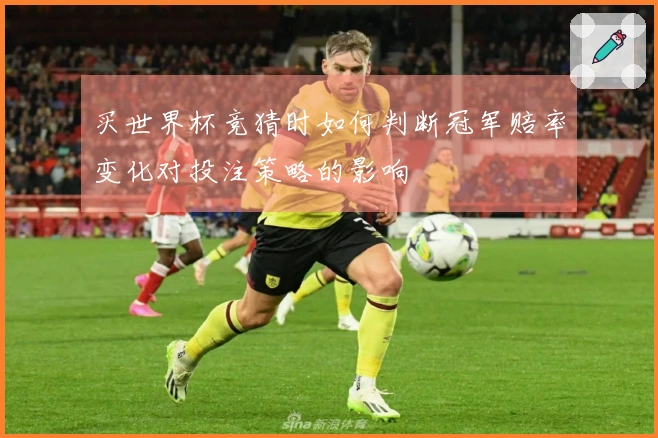 买世界杯竞猜时如何判断冠军赔率变化对投注策略的影响