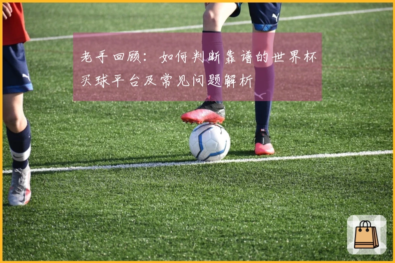 老手回顾：如何判断靠谱的世界杯买球平台及常见问题解析