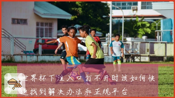 世界杯下注入口打不开时该如何快速找到解决办法和正规平台