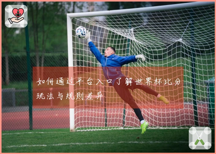 如何通过平台入口了解世界杯比分玩法与规则差异