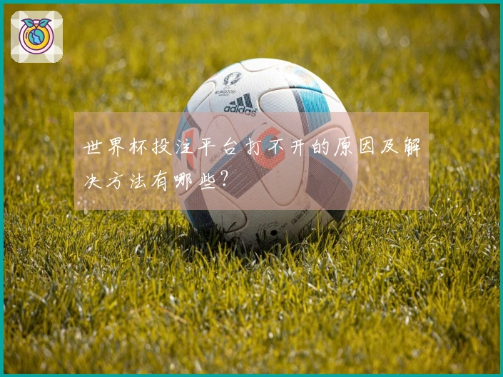 世界杯投注平台打不开的原因及解决方法有哪些？
