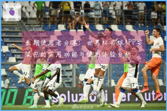 长期使用者分享：世界杯买球APP安装包的实用功能与使用体验分析