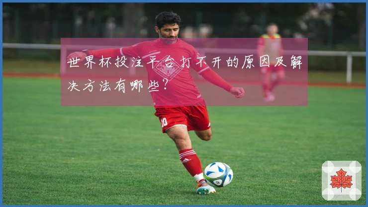 世界杯投注平台打不开的原因及解决方法有哪些？
