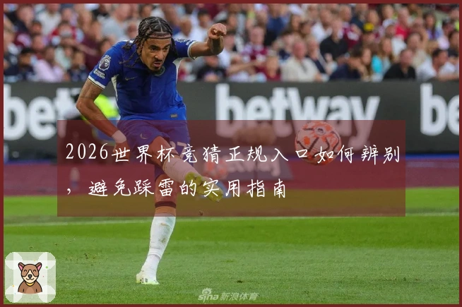 2026世界杯竞猜正规入口如何辨别，避免踩雷的实用指南