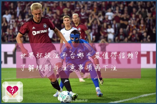 世界杯投注平台哪个最值得信赖？了解规则与注意事项再下注