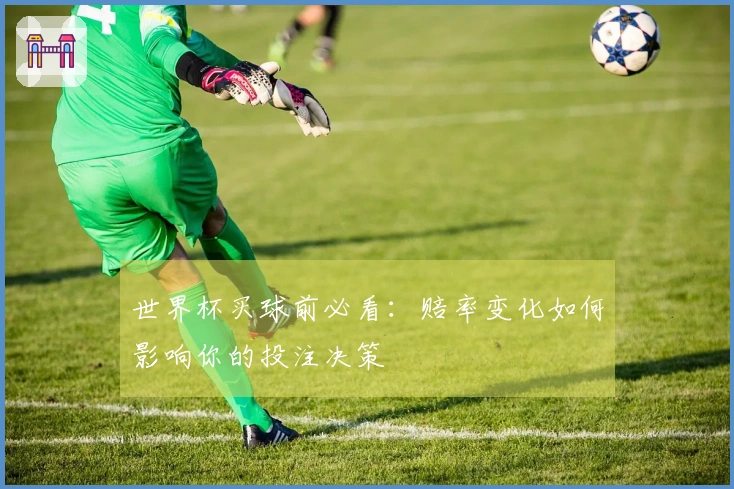 世界杯买球前必看：赔率变化如何影响你的投注决策